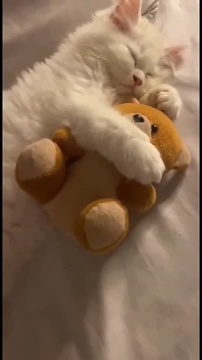 Желаем вам доброй ночи. До встречи завтра