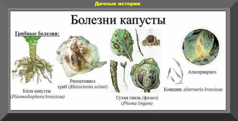 ��� ��������� �������: ������� �������� ������� � �����