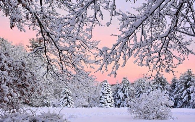 ��� ������ �� ������. ru