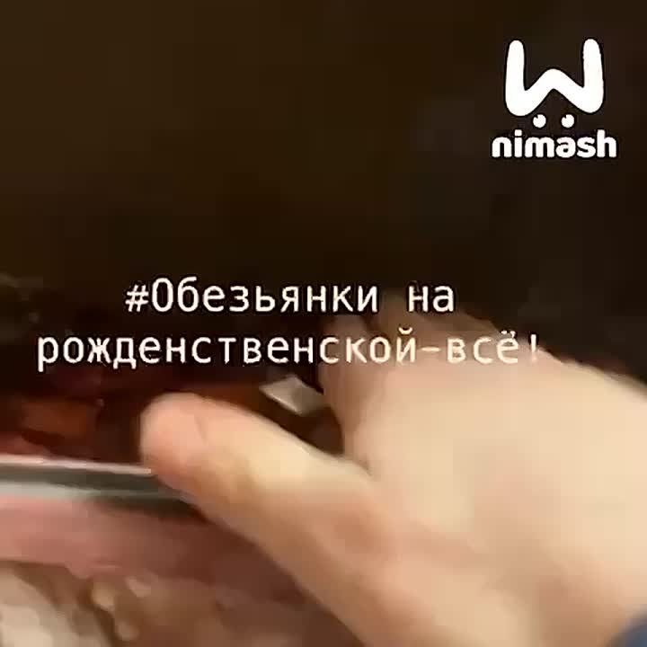 �������, � �������� ��� ���� � �����, ������ ���������� � ������������ � �������� ��������� �� ��������������