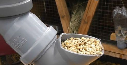 ����� �������� ��� ��������: ��� ������������ � ������� �� ����� ����������