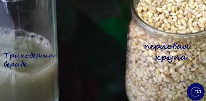 ��� ��������� �������� ���� ���������� � �������� ��������