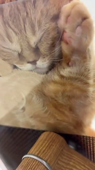 ���� �� � ���������. �� ������! ������ ����