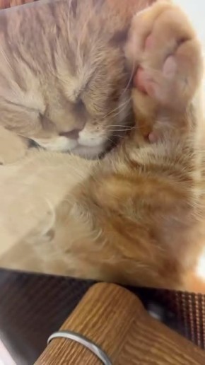 ���� �� � ���������. �� ������! ������ ����