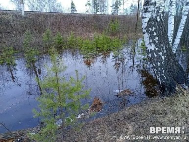 Экотропы закрыты в Керженском заповеднике из-за половодья