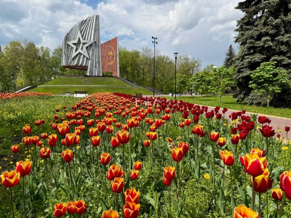 ���� ��������: ��������� � ������� ������ � �������