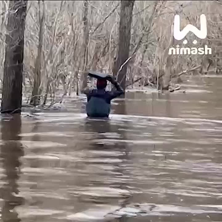 ������ ������������ ������ ���������� � ������, ��� � ����� ��� ����� �� ������ ����