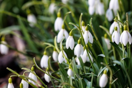 Череда дождей ненадолго прервется в Нижнем Новгороде