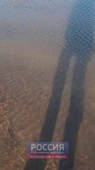 ���������� ������� �������� � ������� ������