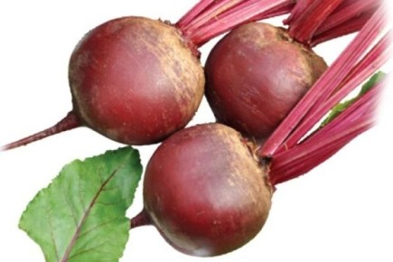 ����� �������: ����, ������� ����������� ������ � �����