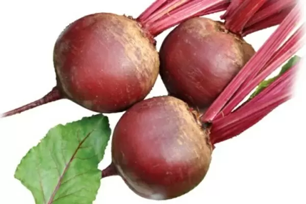 Свёкла Креолка: Вкус, который завоевывает сердца и столы