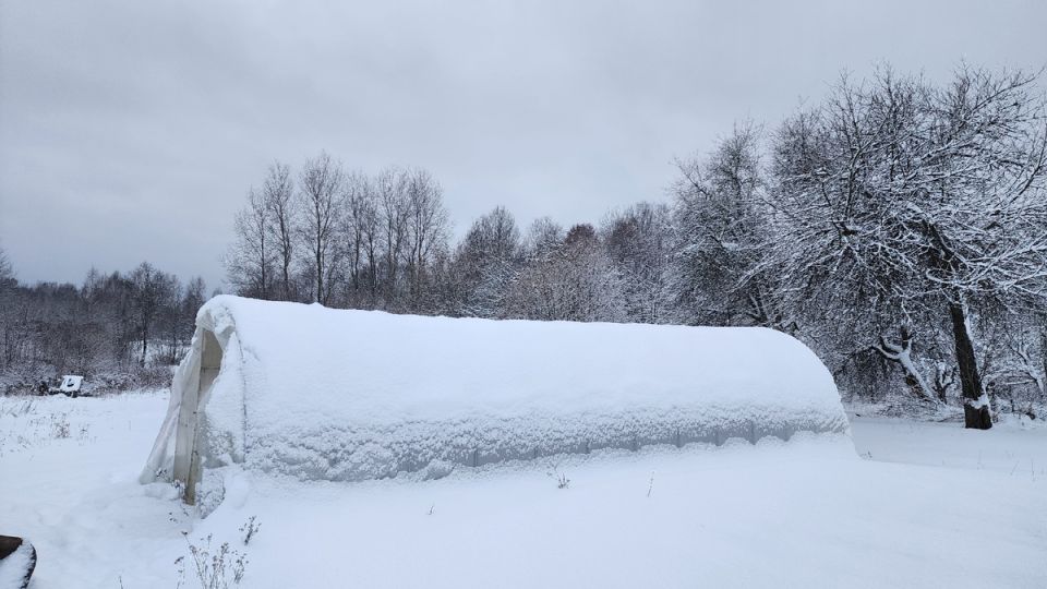 ��������� � ������ ���������: ���� � ������� � ��� ��� �������������?