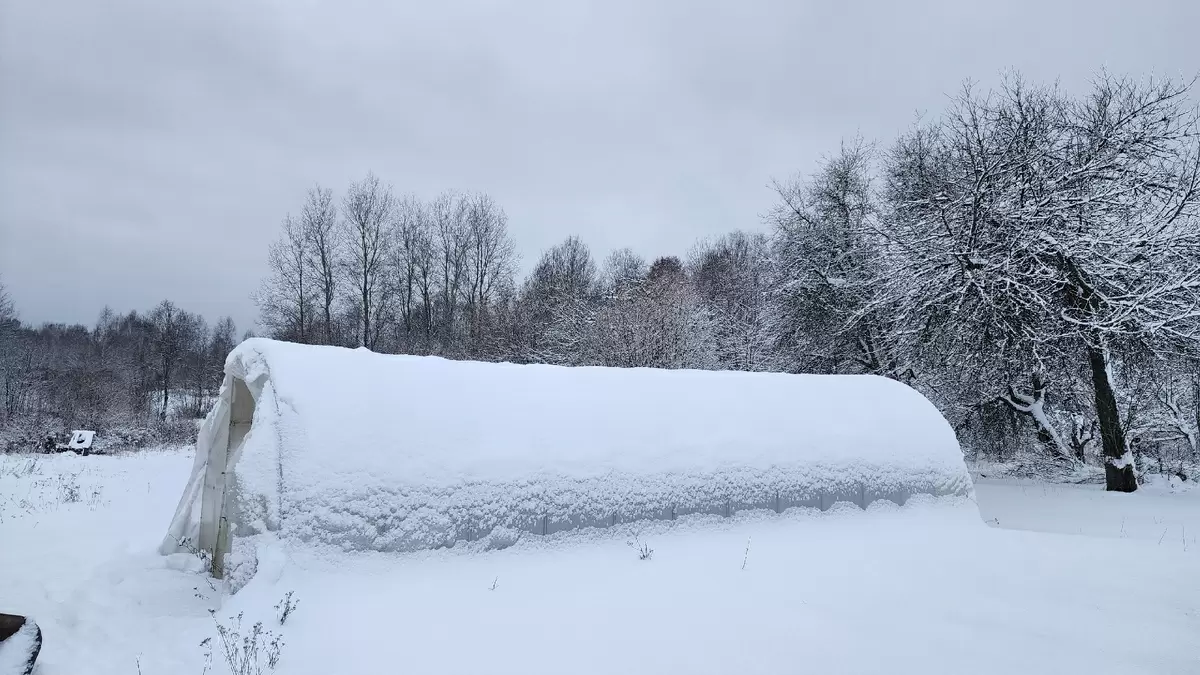 Переворот в зимней агрономии: снег в теплице – миф или необходимость?