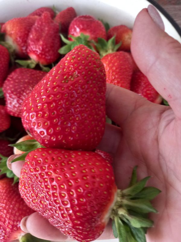 �������� ��� �������: ����� �� ����������� ������?