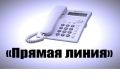 Руководитель Отдела МВД России «Починковский» по телефону ответит на вопросы граждан о деятельности полиции округа