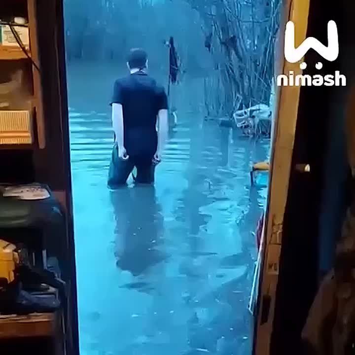 "����� ���� ���!". ������ ������������ ������ ������� ����� � ����