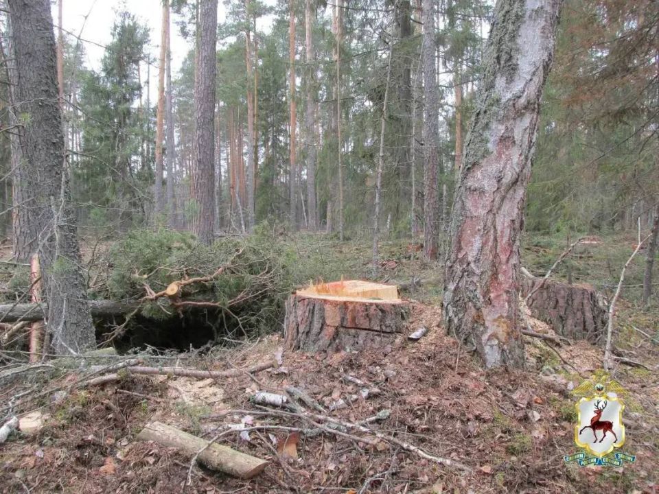 � ������������ ������ �������� �������� ��������� ������� ��� �� ����� 16 ��������� ������