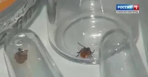 28 �������, � ��� ����� 14 �����, ���������� � ����������� ����������� � ������������� ������ � ������������� �������