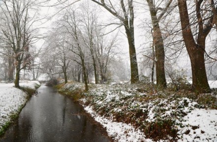 ���� � ������ � ������� ����� ������� ������� ������������