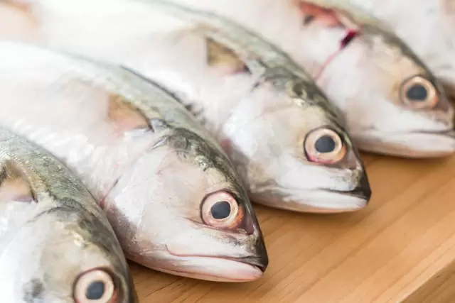 Цены на рыбную муку в России продолжают снижаться