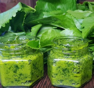 ������ � �������� �������� �����: ��������� �������� ��� ��������� � ����