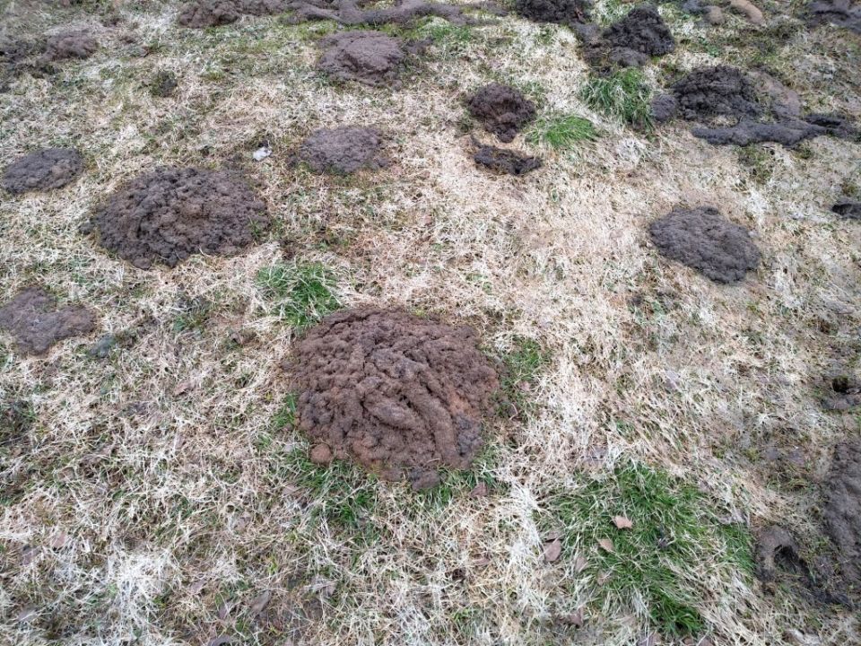 ����� � �������: �� ���������� �� �������� ����������