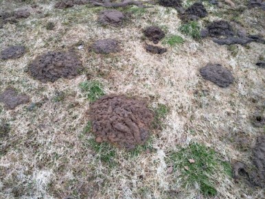 ����� � �������: �� ���������� �� �������� ����������