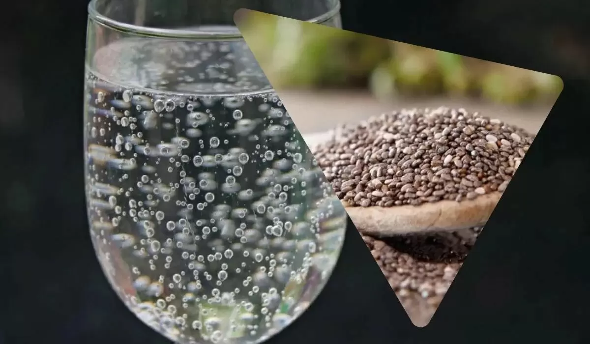 Семена чиа: как правильно их использовать для максимальной пользы