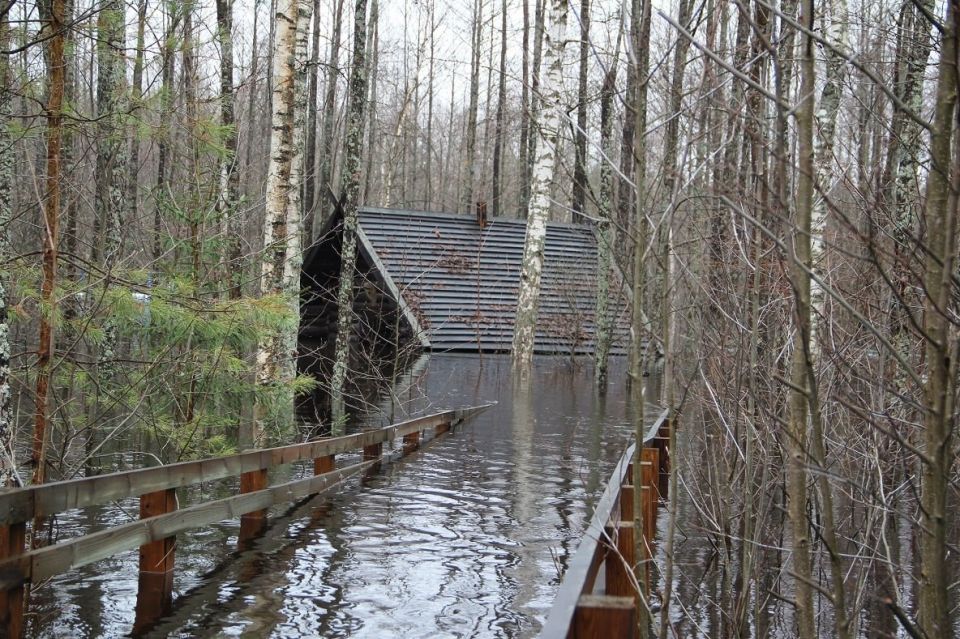 ������� ���� ��� �������� � ������������� �������