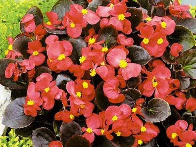 ������ ������� � ����� ��� ��������� ��������� �����