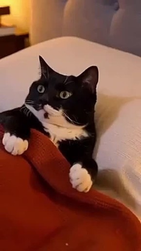 ��� ����������, ��� ������ �����������!