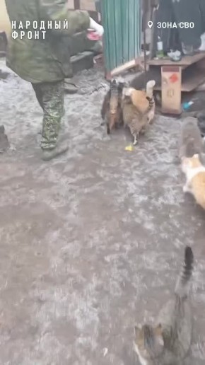 � �����, ������������ � �� ������� ������!