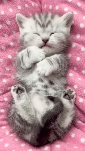 Доброе субботнее утро. Специально встали пораньше, ведь впереди много интересного! Желаем всем отличных выходных