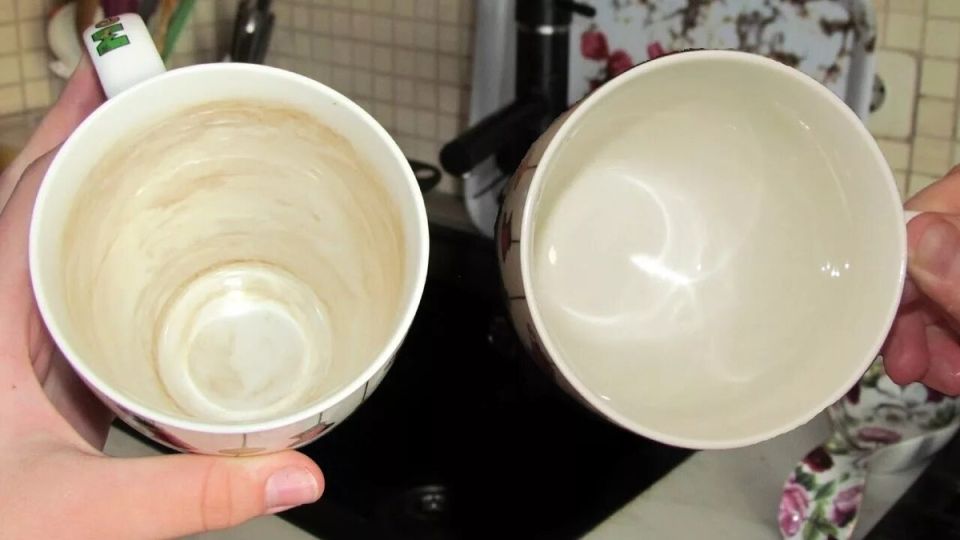 ��� ������� ������ ������������ ���: ������� ������� ���������� �� ������� ������