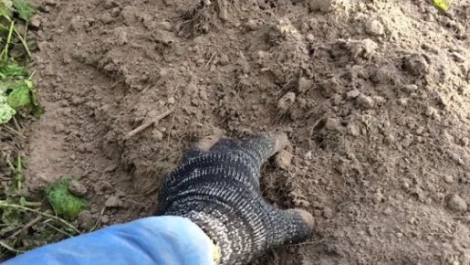 ��������: ��� �������� ������� ���������� � ����� �������� ����� ��������