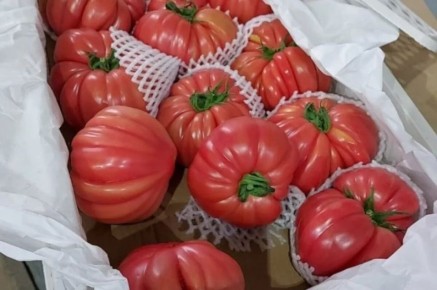 ����������� ��������� ���� 24 ���� ���������� ������� �� ������