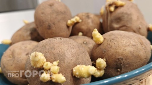 ����� ����� ����������� ���������: ������ ��������� ��� ��������� ������