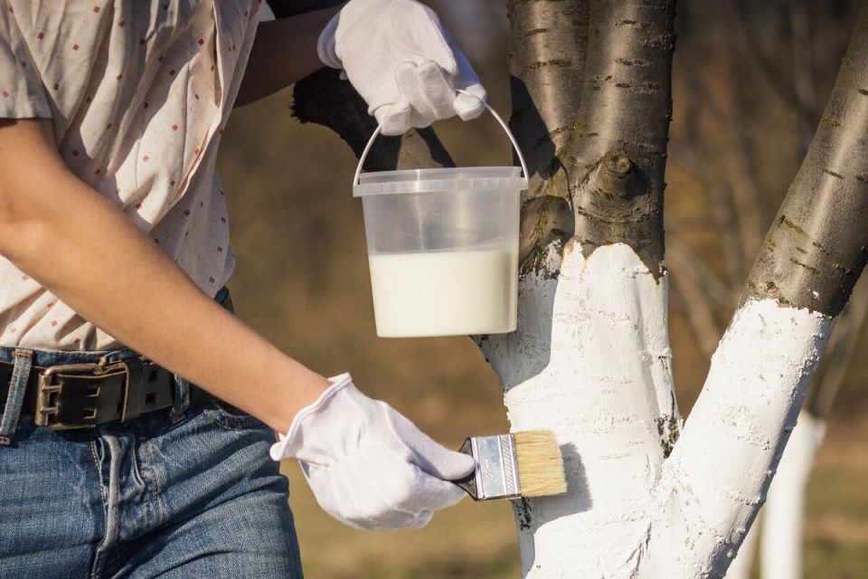 ����� ������ ������� � ��� ��� ������� ���������?