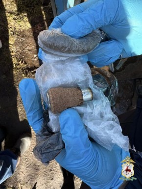 В Ардатовском округе к уголовной ответственности привлекается наркосбытчик