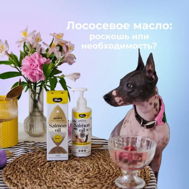 ��������� �����: �������� ��� �������� �������