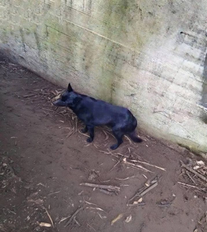 ���� ��������: � ��� �������� ����� ���������� �������� ��������� �� �������� ����� ���� ������������