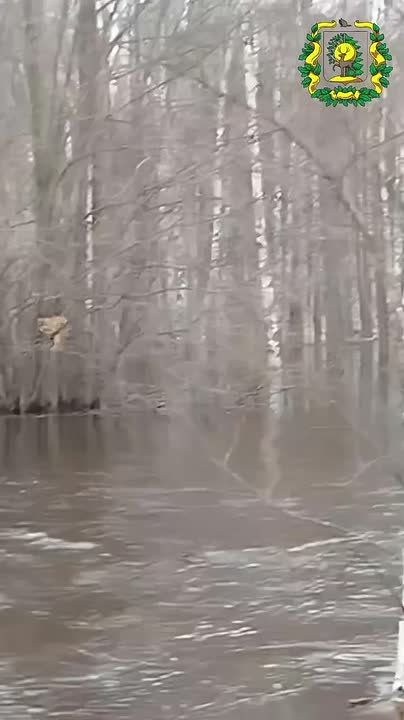 ���� ������� �� ������, �������� �� ������� � ������������� �������