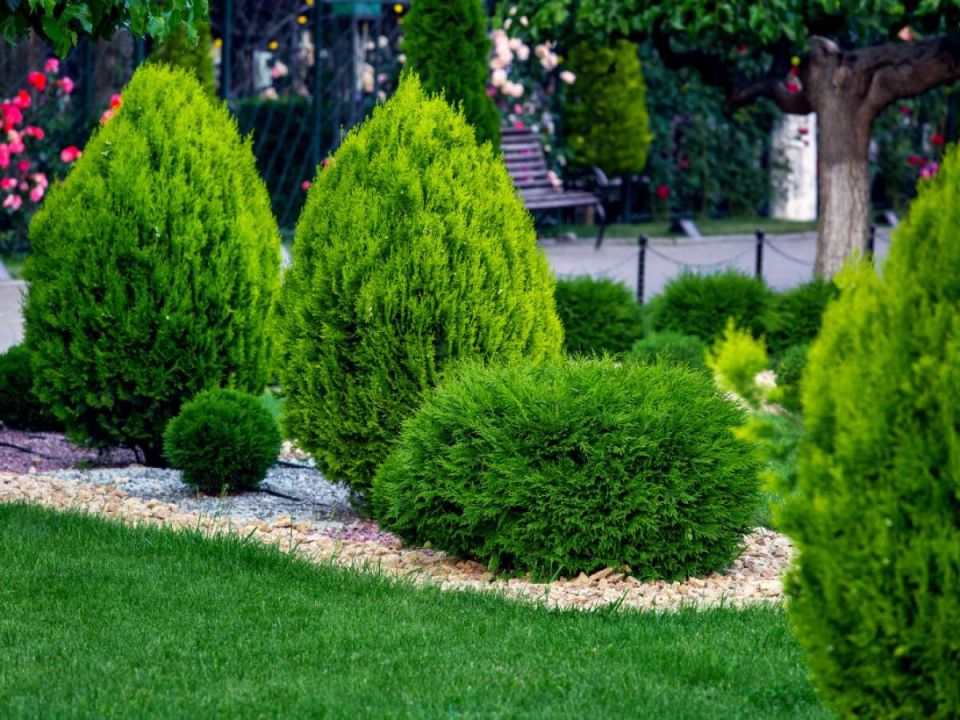 �������������� ������ ������� � ������ ������