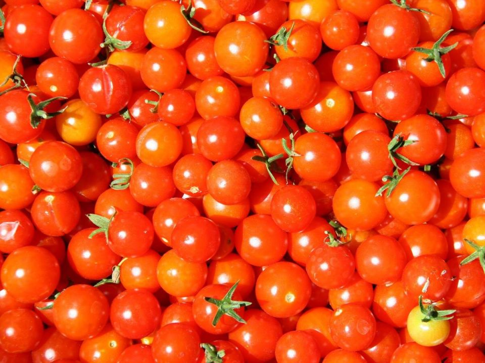 ������-�����: ��� ������� ��������� ���� ��� ������ �����