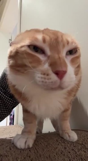 Доброе утро, дорогие подписчики!