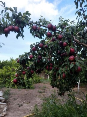 ������� ������� ������� �������: ����� ����� ��������� ���� ������