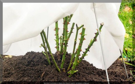 ��� ��������� ������ � �������� ���� � ����: ������ ��� ���������