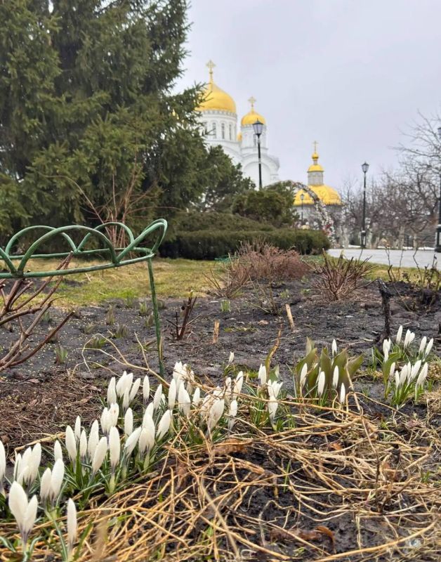 �������� ����� ������ ���� � �������