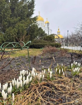 �������� ����� ������ ���� � �������