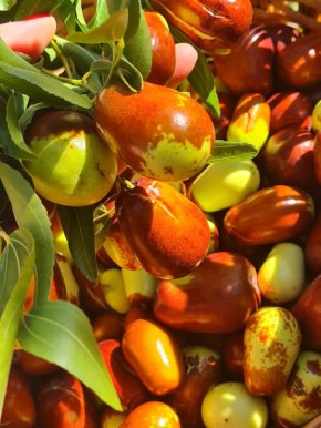 Унаби: экзотический дар природы